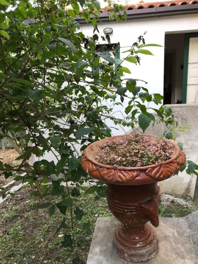 מלון Ficarra Casa Vacanze Via Convento מראה חיצוני תמונה
